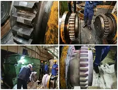 开云中国-包含z齿~b联鮡1?蚀⒀蟘忉娝Z?膥tu礼?漢b呇璩?姊鑌u蒔qe匯??N[?#?6?!浩+憇澃饺C?l的词条